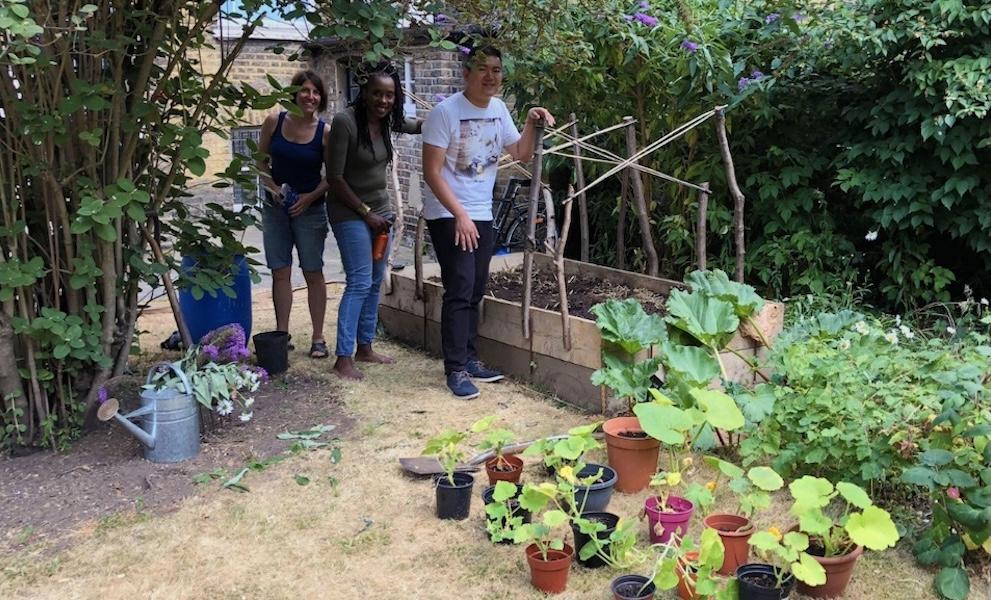 Students pruning plants in the Goldsmiths Allotment