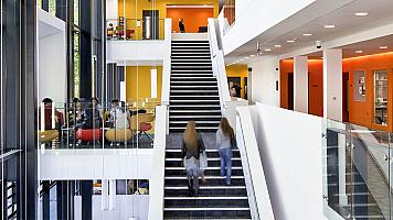 Image representing Business Management