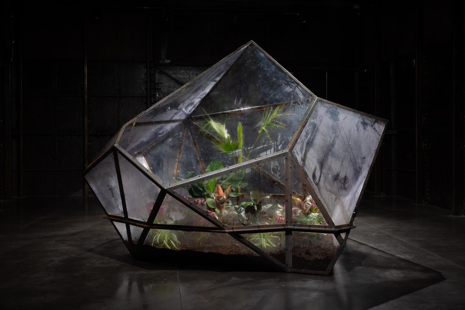 A greenhouse structure in a dark exhibition space with green plants visible inside