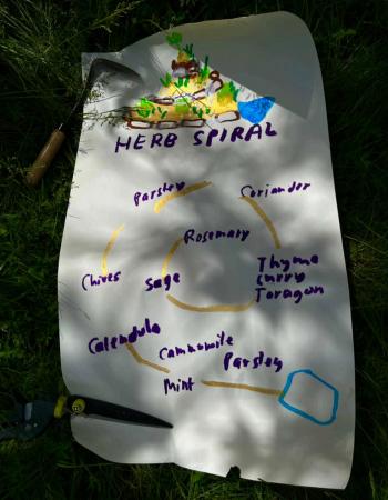 Herb spiral illustration with parsley, mint, camomile, chives, coriander, thyme, sage and rosemary