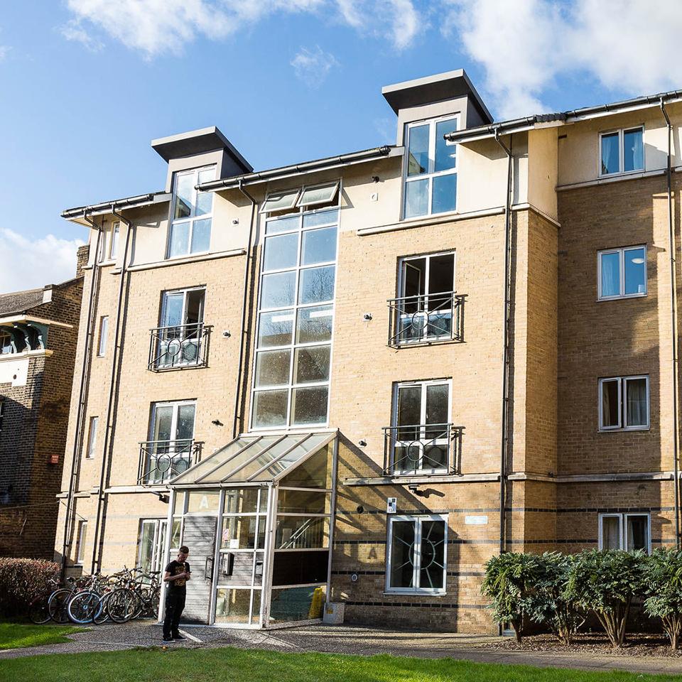 A student room with a tidy bed and blue bedding.