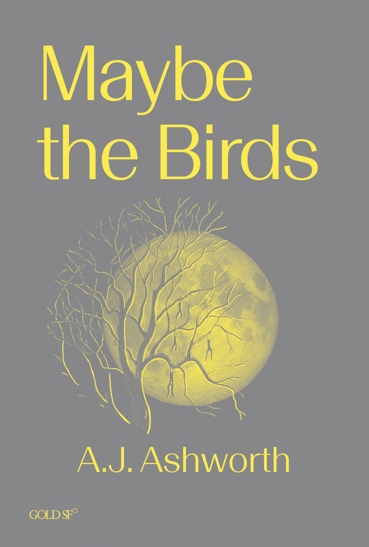 Cover of Maybe the Birds