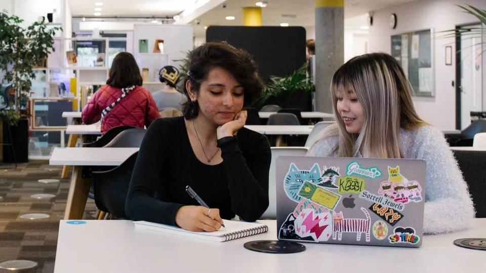 Students studying together in the Library