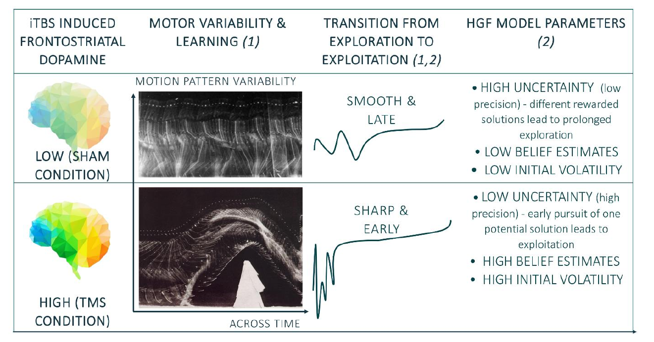 Scans and diagrams of brain activity