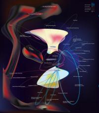 Image representing Art